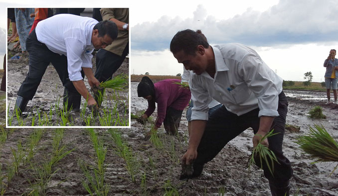 Mendag Thomas Lembong Puji Amran Sulaiman sebagai `Menteri Petarung`
